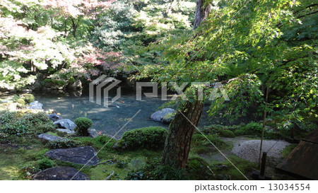 Lotus Temple 13034554