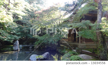 蓮花寺 13034556