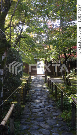 Lotus Temple 13034557