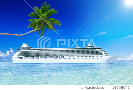 Cruise and palm tree Cruise and palm tree 13036041