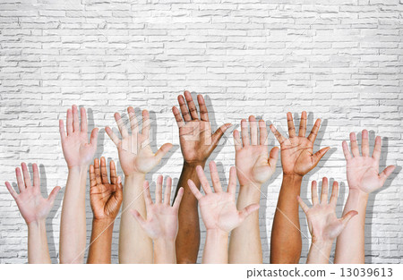 Hand Raised 13039613