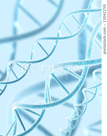 DNA structure DNA structure 13042258