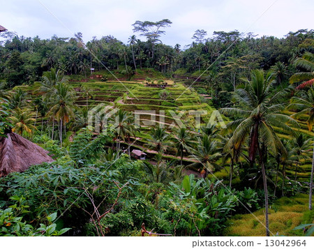 Tegallalan Tegallalan 13042964