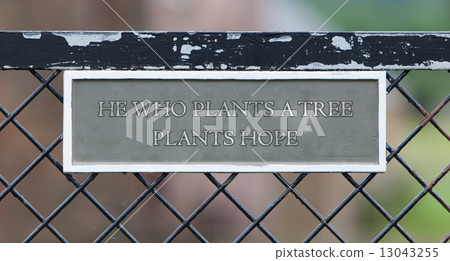 He who plants a tree plants hope 13043255
