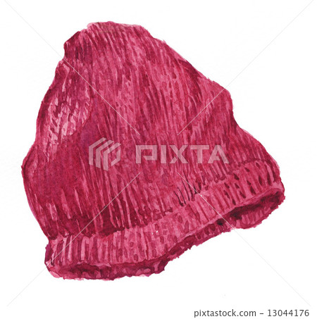 編織帽 illustration 數字動畫 13044176