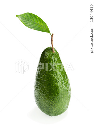 Ripe Green Avocado with Leaves Isolated on White Background. 13044459