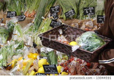 Vegetables / Greengrocers 13044591
