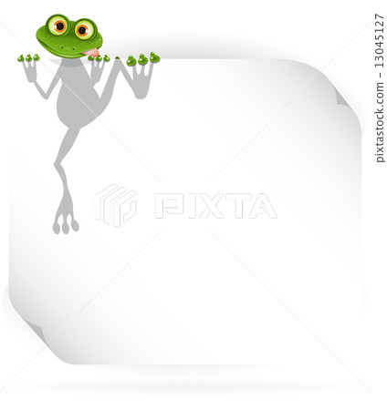 Frog and white background Frog and white background 13045127