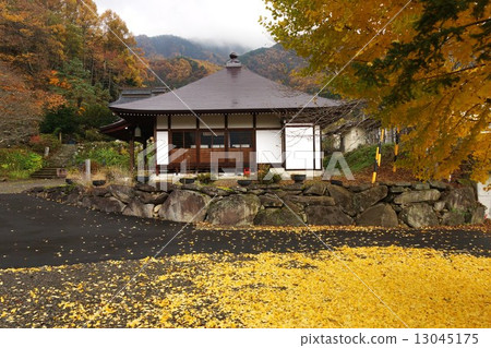 信濃三十三觀音寺Ikutokuyama Takamori寺(10號門票)銀杏 信濃三十三觀音寺Ikutokuyama Takamori寺(10號門票)銀杏 13045175