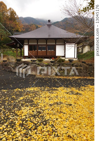 信濃三十三觀音寺Ikutokuyama Takamori寺(10號門票)銀杏 信濃三十三觀音寺Ikutokuyama Takamori寺(10號門票)銀杏 13045176