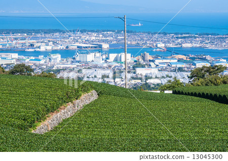Tea plantation in Nippondaira 13045300