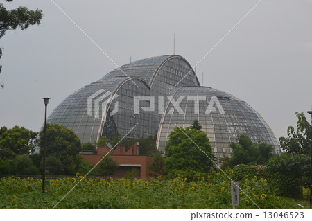 Botanical garden 13046523