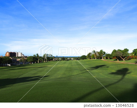 Ko Olina Golf Club 13046528