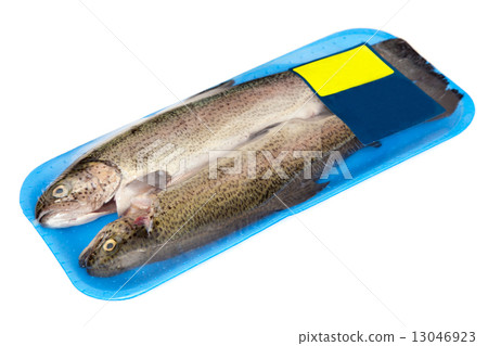 Fresh raw trout isolated on white background Fresh raw trout isolated on white background 13046923
