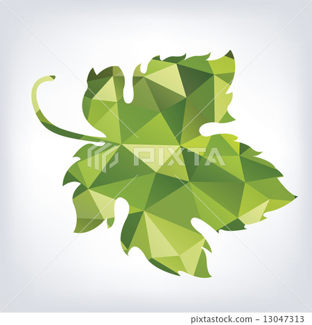 Grape green leaf in polygon style  13047313
