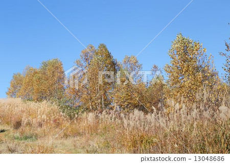 深秋的風景 深秋的風景 13048686