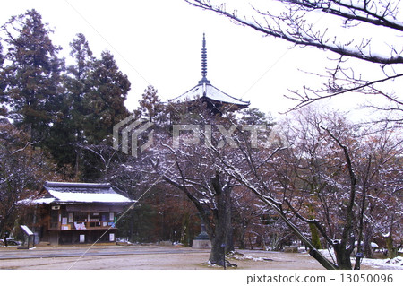 Ninna-ji (Kyoto) Tanpo and snow of the five-storied pagoda 13050096