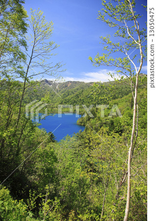 Okotampe湖 Okotampe湖 13050475