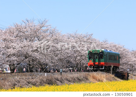 Moka railroad and spring landscape 13050901