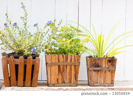 Small pot plant with wooden fence. 13050934