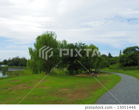 Yanagi Park 13051448