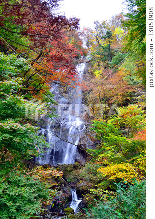 Autumn leaves of Shirataki Autumn leaves of Shirataki 13051908