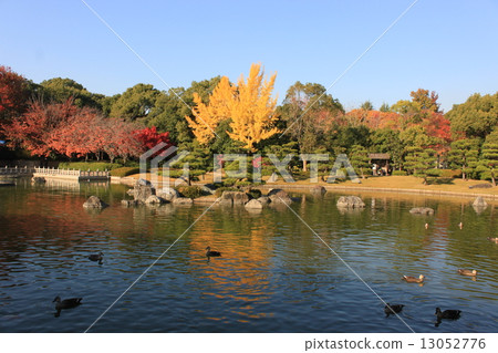 日本庭院的秋季風景在Sakai市Daisen公園 13052776