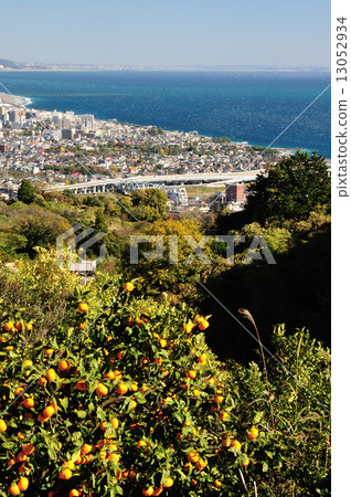 Odawara's streets Odawara's streets 13052934