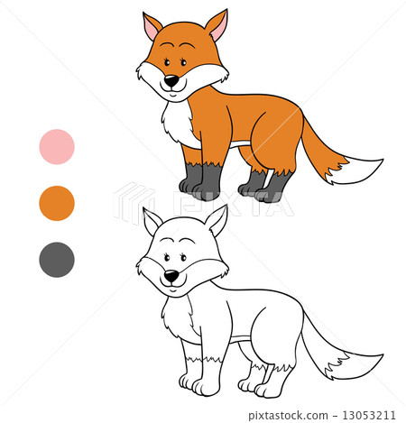 Coloring book (fox) 13053211