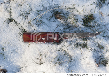 Knife with blood on snow 13053254