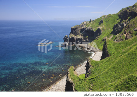 Shingon Cape 13053566