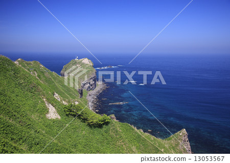 Shingon Cape 13053567