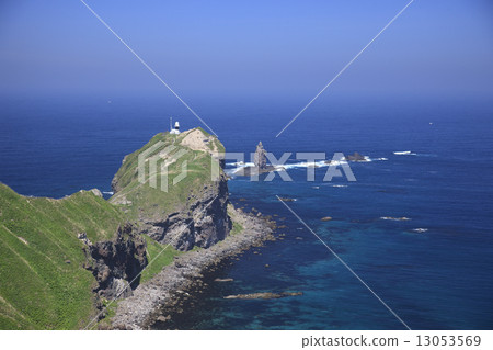 Shingon Cape 13053569