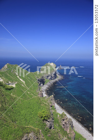 Shingon Cape 13053572