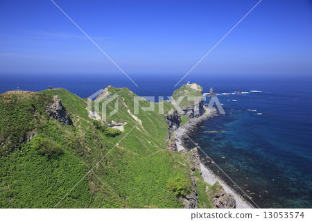 Shingon Cape 13053574