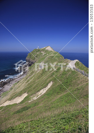 Shingon Cape 13053583