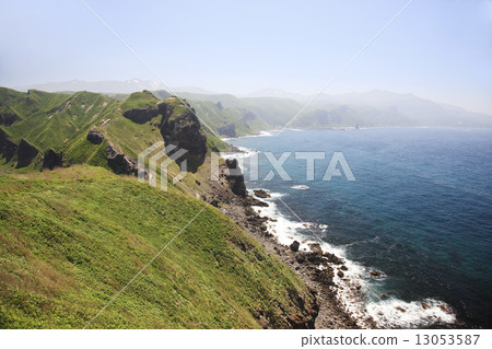 Shingon Cape 13053587