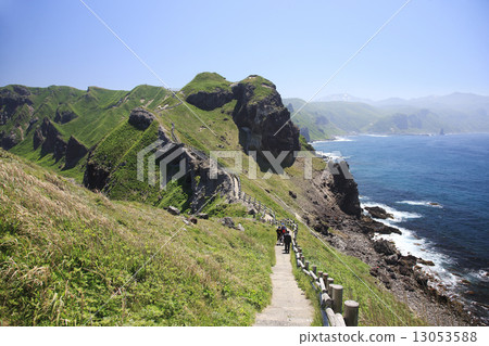 Shingon Cape 13053588