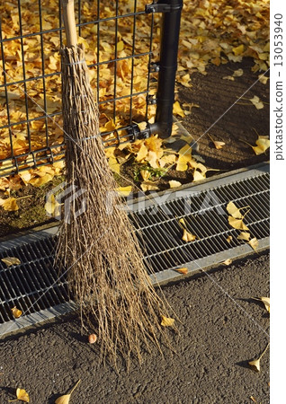Deciduous broom broom Deciduous broom broom 13053940