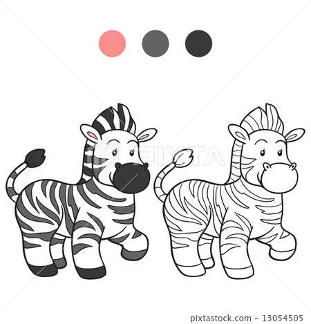 Download Coloring Book Zebra Stock Illustration 13054505 Pixta