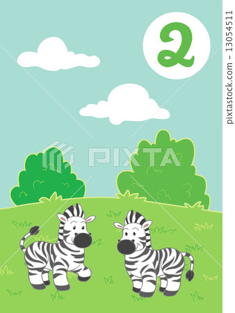 Two cute zebras Two cute zebras 13054511
