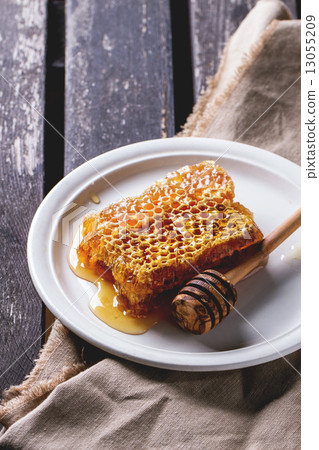 Honeycomb 13055209