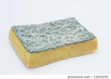 Old sponges on white background Old sponges on white background 13056202