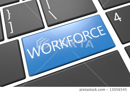 Workforce Workforce 13056545