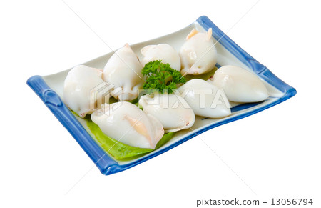 Fresh Calamari Close-Up Fresh Calamari Close-Up 13056794