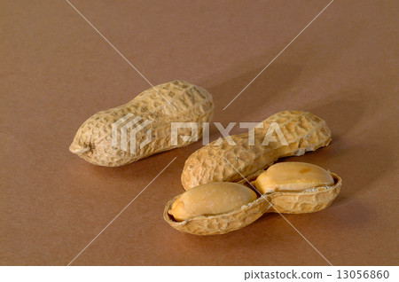 peanuts 13056860