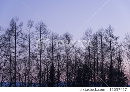 冬天很薄 13057437