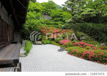 Satsuki of Kyoto Fukushiji in Kyoto 13057473