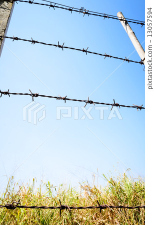 barbed wire fence 13057594