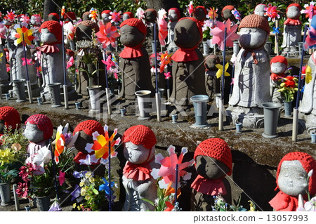 親愛的大分先生 親愛的大分先生 13057993